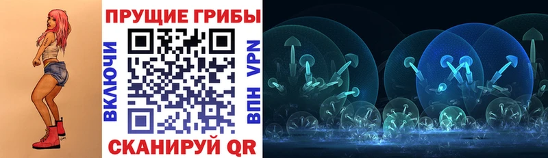 мориарти телеграм  Яранск  Галлюциногенные грибы Psilocybine cubensis 
